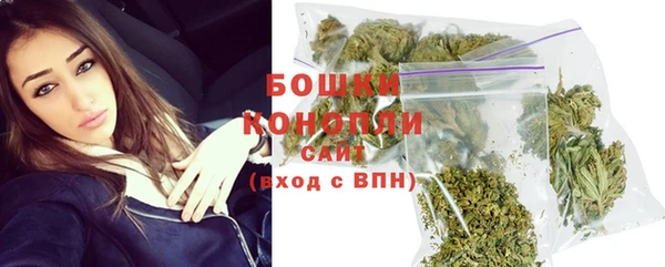 spice Богородицк