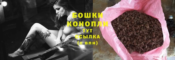 ПСИЛОЦИБИНОВЫЕ ГРИБЫ Богданович