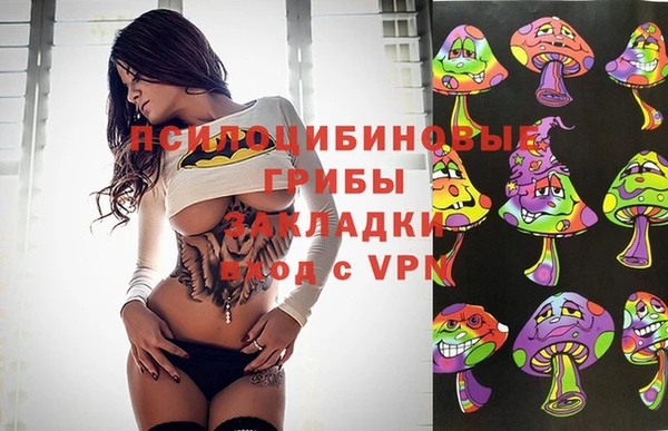 spice Богородицк