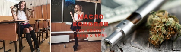 spice Богородицк