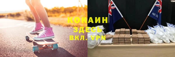ПСИЛОЦИБИНОВЫЕ ГРИБЫ Богданович