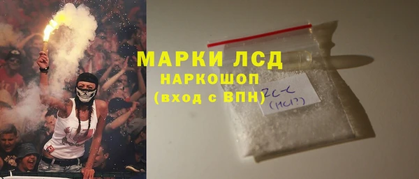 spice Богородицк