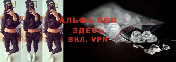 ПСИЛОЦИБИНОВЫЕ ГРИБЫ Богданович