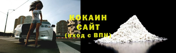 spice Богородицк