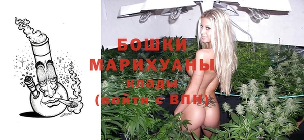 ПСИЛОЦИБИНОВЫЕ ГРИБЫ Богданович