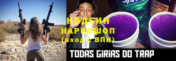ПСИЛОЦИБИНОВЫЕ ГРИБЫ Богданович