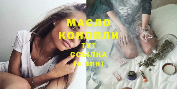 spice Богородицк